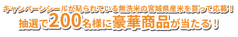 抽選で170名様に豪華景品が当たる！